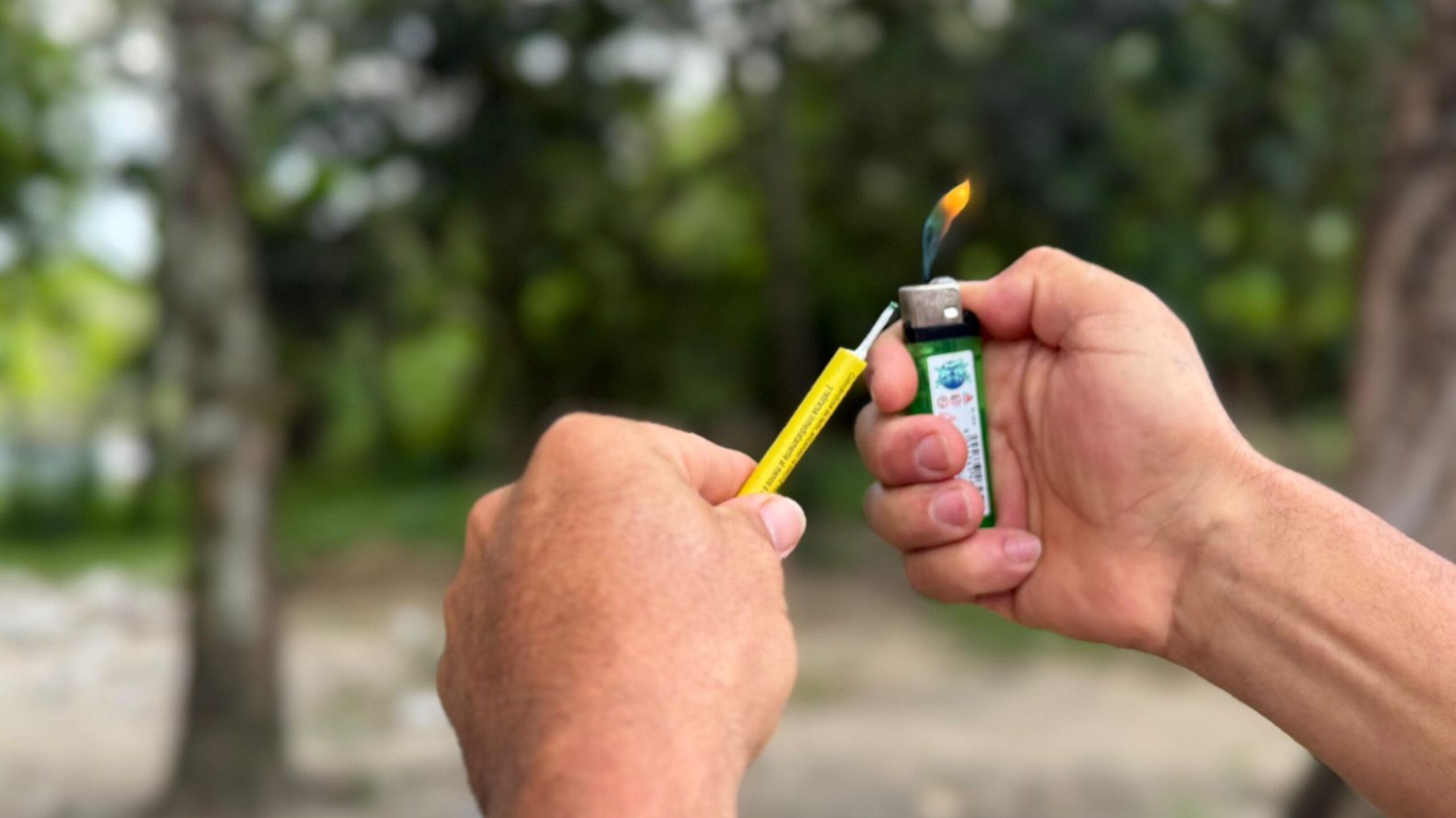 InShot_20260120_200529972