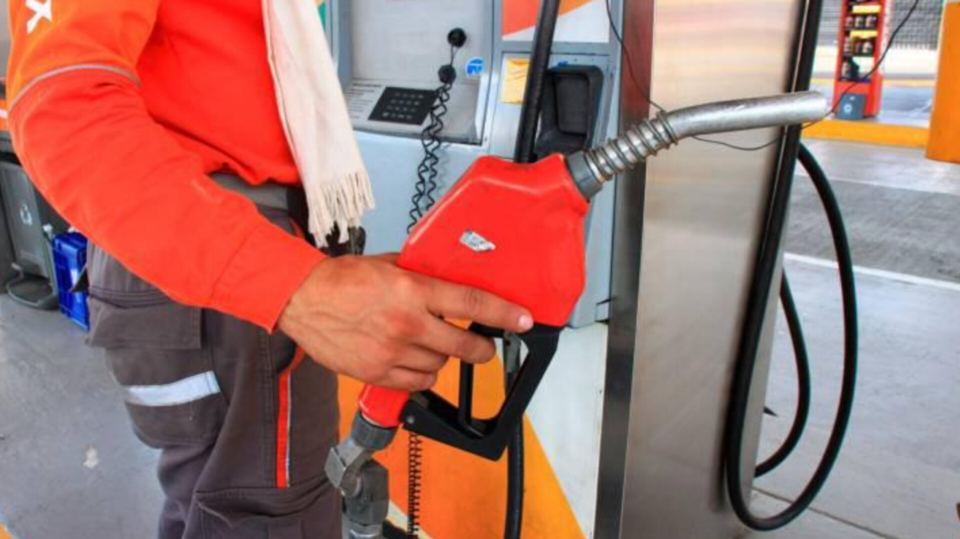 InShot_20260131_085512394