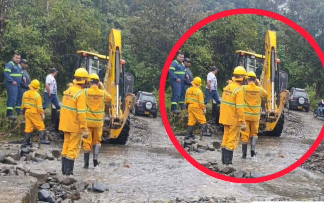 Ibagué activa refuerzo obligatorio contra la fiebre amarilla