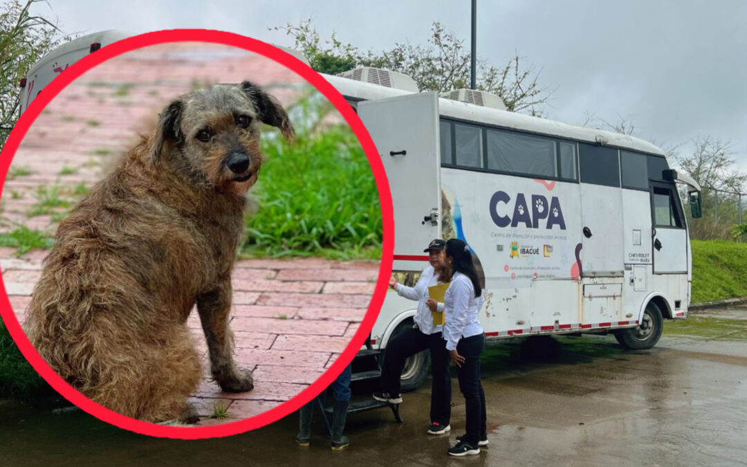 Personería alerta por escasez de alimento en el CAPA de Ibagué