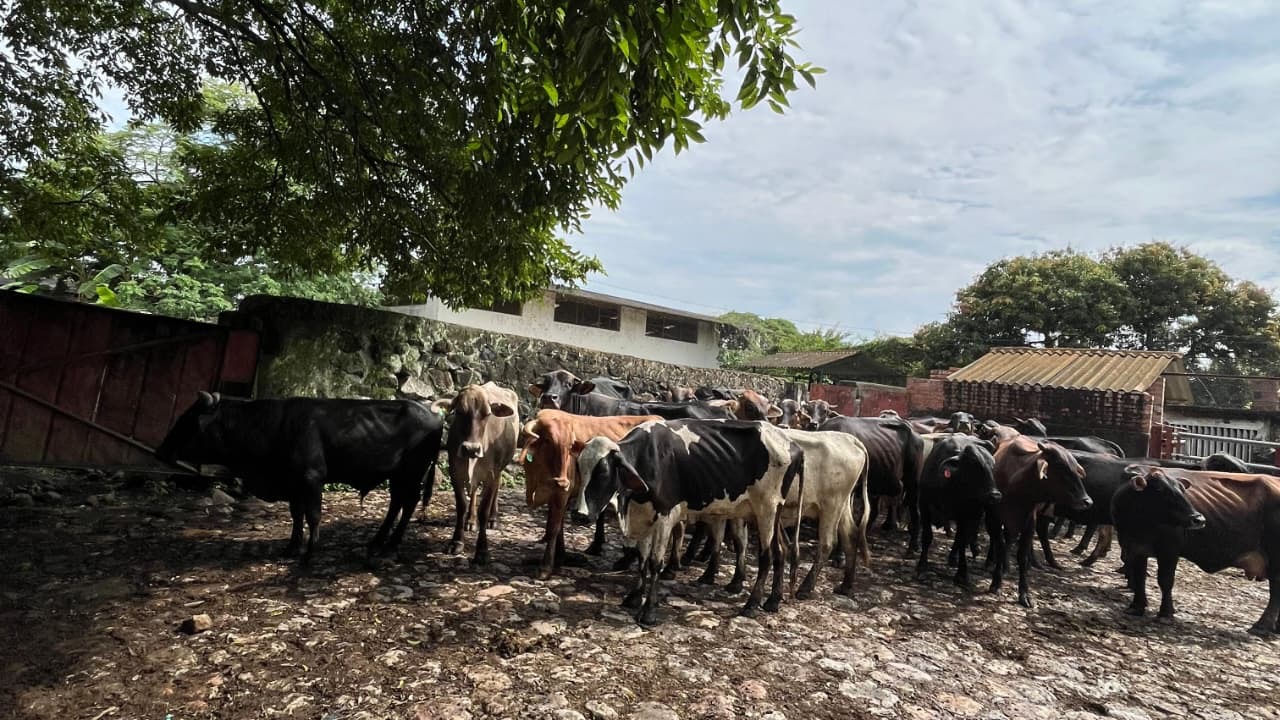 0e3dbff9-ef79-4dc0-9a2c-c278f98f1df1