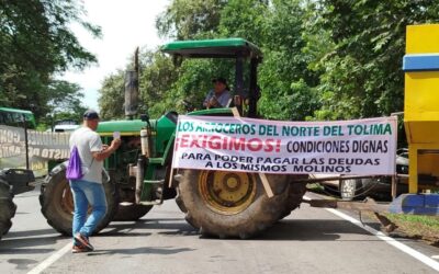 Arroceros del Tolima se abstienen de participar en paro nacional