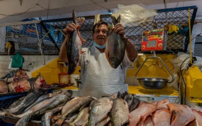 Plazas de Ibagué ofrecen pescado fresco y variado por Semana Santa
