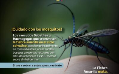 Minsalud aumenta sus precauciones contra la Fiebre Amarilla