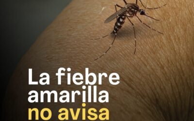 Alerta sanitaria: vacunarse es clave ante el riesgo de fiebre amarilla