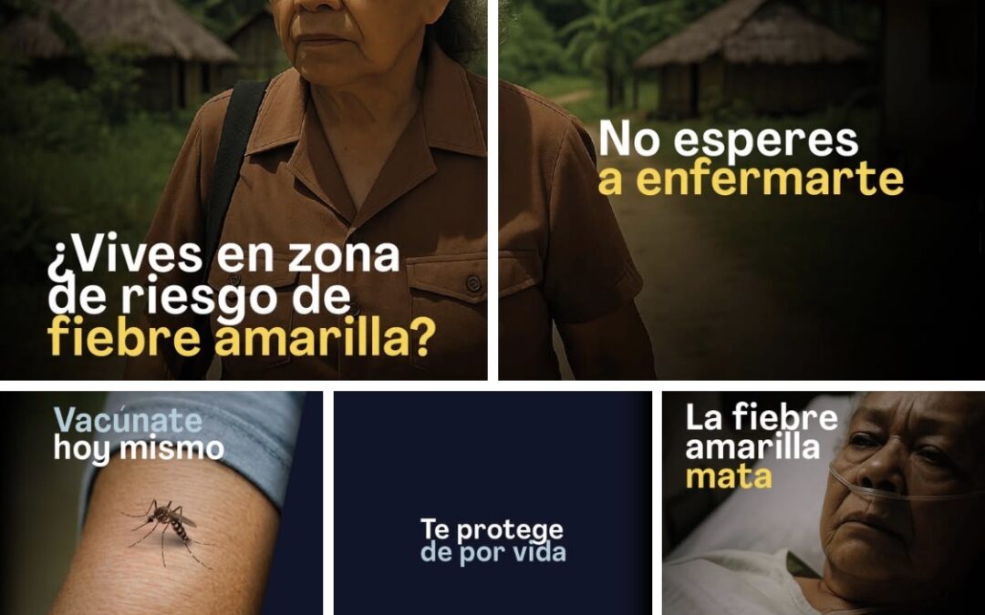 Vivir en zonas de riesgo es estar más expuesto a la fiebre amarilla