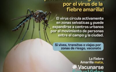 Ministerio de Salud alerta sobre prevención de fiebre amarilla en temporada de Semana Santa