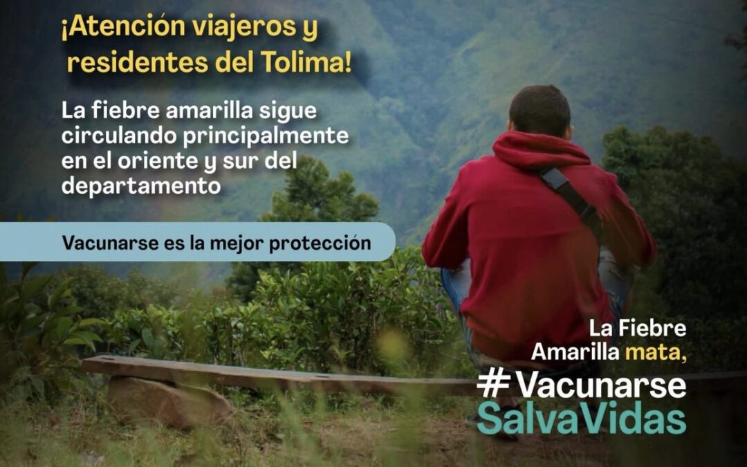 Autoridades advierten riesgo de fiebre amarilla en viajes a zonas montañosas y el Tolima