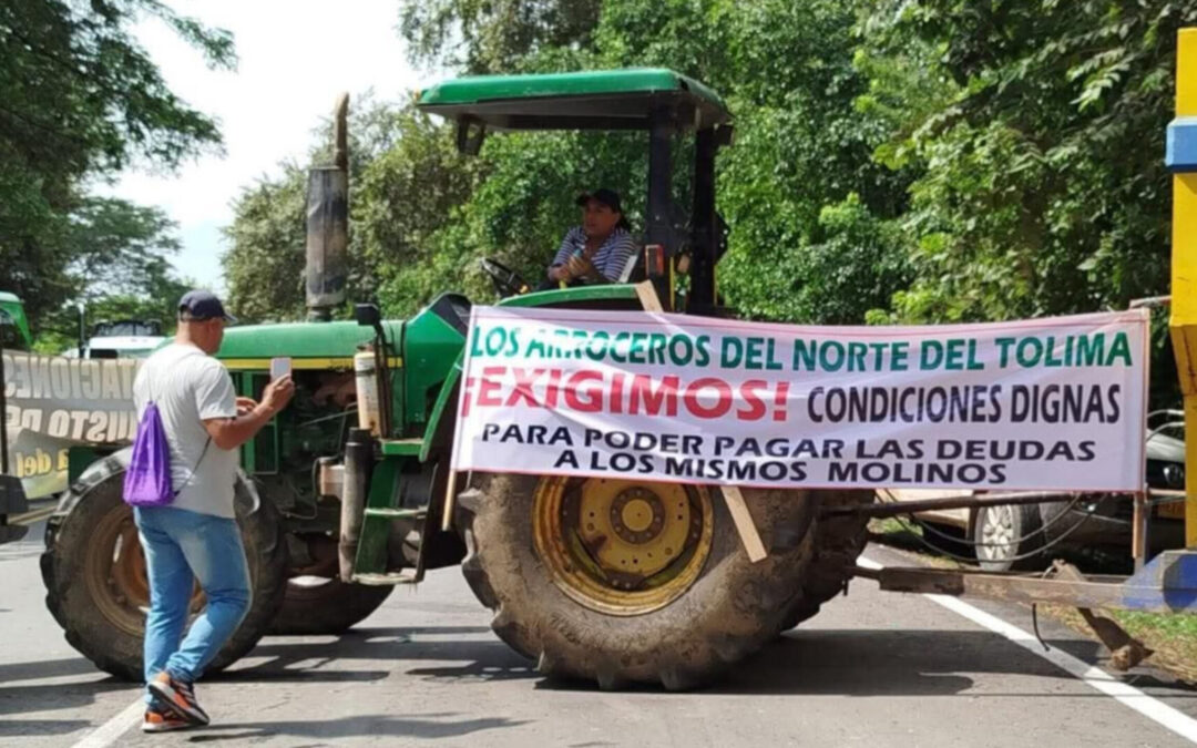 Arroceros del Tolima alistan su participación en movilización nacional