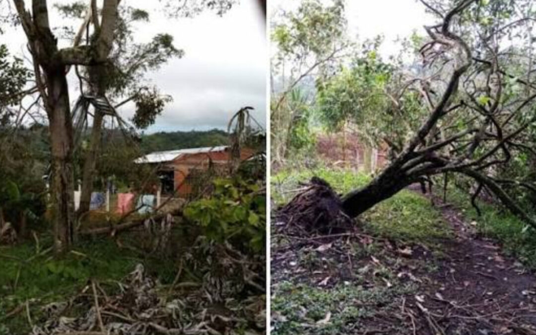 Lluvias anticipadas provocan afectaciones rurales en Armero Guayabal
