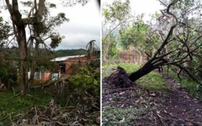 Lluvias anticipadas provocan afectaciones rurales en Armero Guayabal