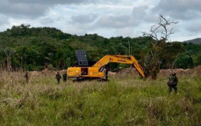Oro ilegal desplaza a la coca y fortalece estructuras criminales en Colombia
