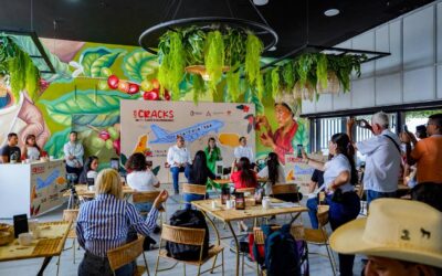 Café del Tolima se abre paso en mercados internacionales desde feria en EE. UU.