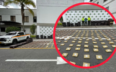 Incautan casi dos toneladas de marihuana en vías del Tolima