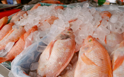 Autoridades recomiendan comprar pescado solo en plazas de mercado