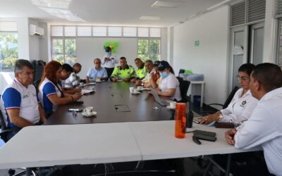 Tolima lanza ofensiva contra el transporte ilegal en sus carreteras