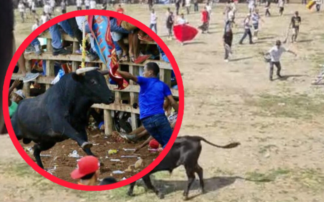 Ocho heridos dejan las corralejas durante las festividades de El Espinal