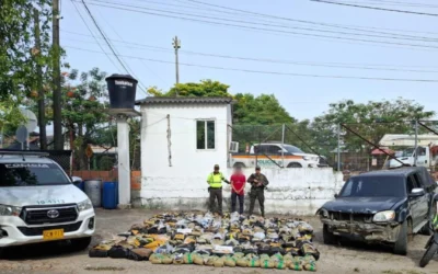 Incautan más de 800 kilos de marihuana en carreteras del Tolima