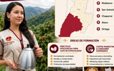 Jóvenes del sur del Tolima competirán por formación de talla mundial en café especial