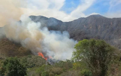 Incendio en el Alto de Gualanday está controlado en un 95 %