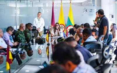 Tolima reclamará más apoyo en seguridad al Gobierno Nacional