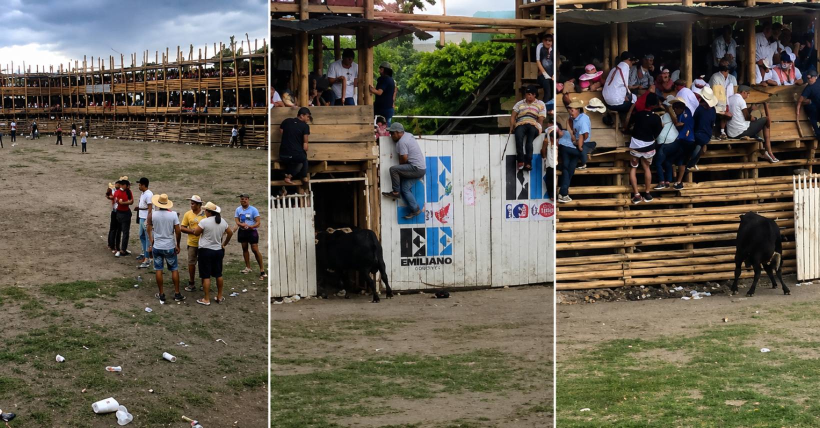 Proyecto nuevo (13)