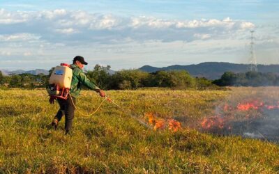 Tolima enfrenta 26 incendios forestales activos en 15 municipios