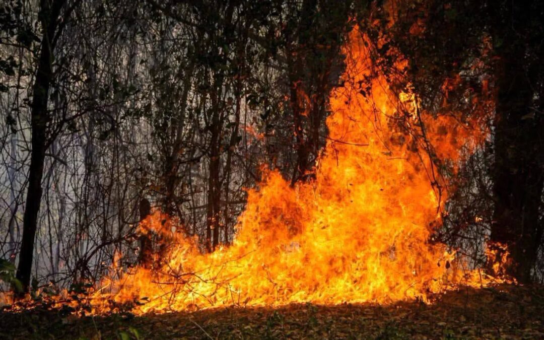 18 incendios y una pregunta: ¿quién ayuda?
