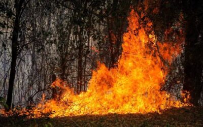 18 incendios y una pregunta: ¿quién ayuda?