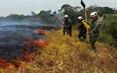 Ejército despliega 225 soldados para combatir incendios en el Tolima