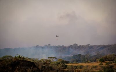 San Luis enfrenta incendios simultáneos y recibe refuerzo aéreo