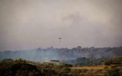 San Luis enfrenta incendios simultáneos y recibe refuerzo aéreo