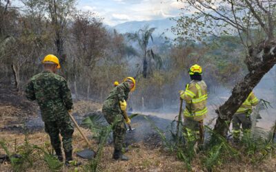 Tolima arde: más de 200 soldados llevan siete días contra el fuego