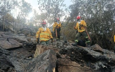 Incendios ya consumieron 11.700 hectáreas en el Tolima