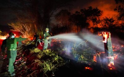 Incendios no dan tregua en Tolima: 22 focos mantienen la emergencia