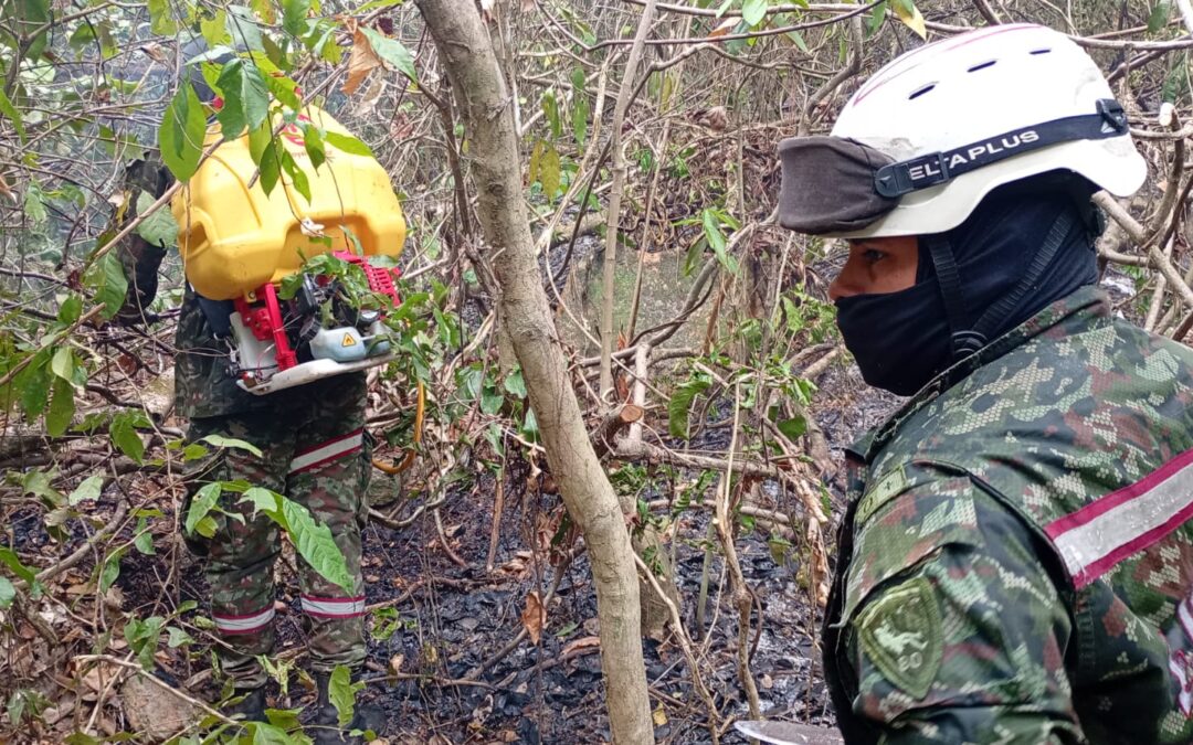 Ejército refuerza combate contra incendios en el Tolima con más de 310 soldados