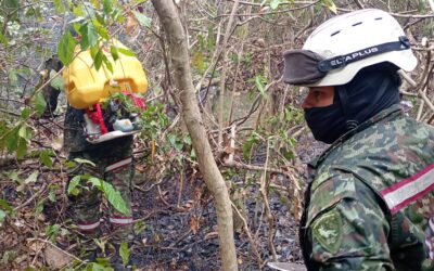 Ejército refuerza combate contra incendios en el Tolima con más de 310 soldados