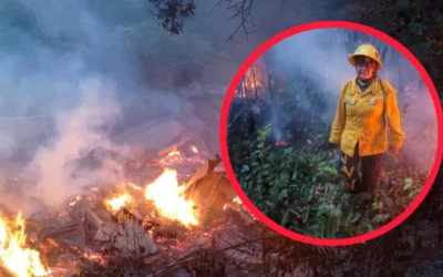 Tolima al límite: 68 incendios forestales desatan máxima alerta