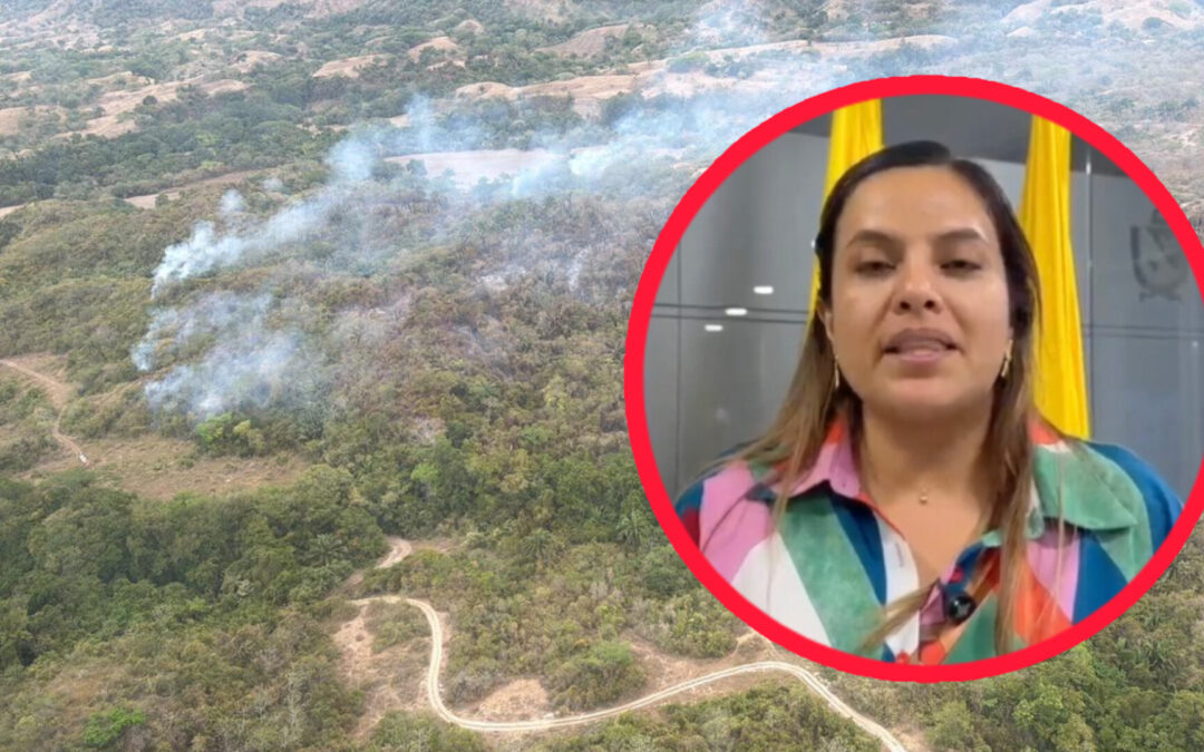 Tolima fortalece acciones ante ola de calor