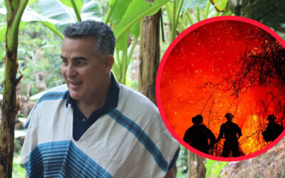 Felipe Ferro pide no atribuir incendios del Tolima a las disidencias