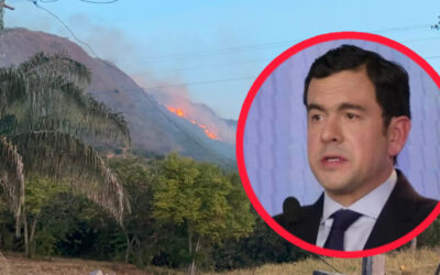 Incendios golpean 11 municipios del Tolima y dejan dos capturas