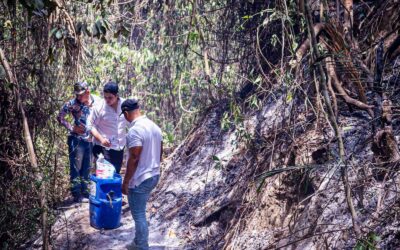 Incendio en La Chumba mantiene en alerta a Alvarado y moviliza equipos del Tolima