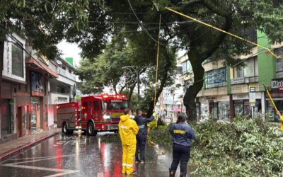 Bomberos intervino ante caída de árboles por lluvias recientes en Ibagué