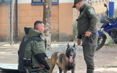 Televisor abandonado activó protocolo antiexplosivos en Ibagué