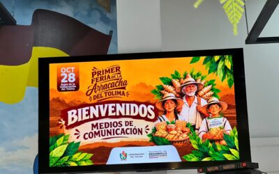 Cajamarca llevará la arracacha a una gran vitrina comercial en el Tolima
