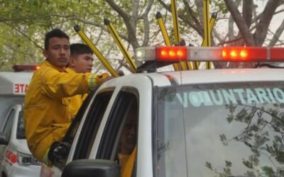 Tolima selecciona a 150 jóvenes para prevenir incendios y proteger los bosques