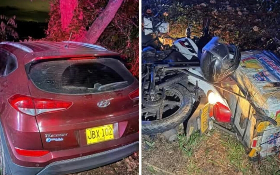 Árbol sobre la vía deja motociclista herido entre Alvarado y Venadillo