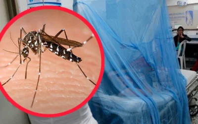 Falan reporta 38 casos confirmados de dengue y refuerza llamado preventivo